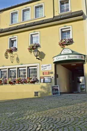 Hotel Grüner Baum Naila